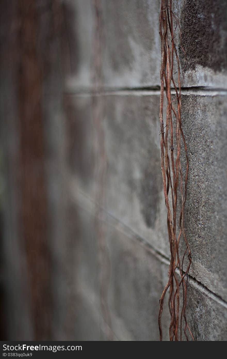 Background and the rough texture of the stones. Background and the rough texture of the stones