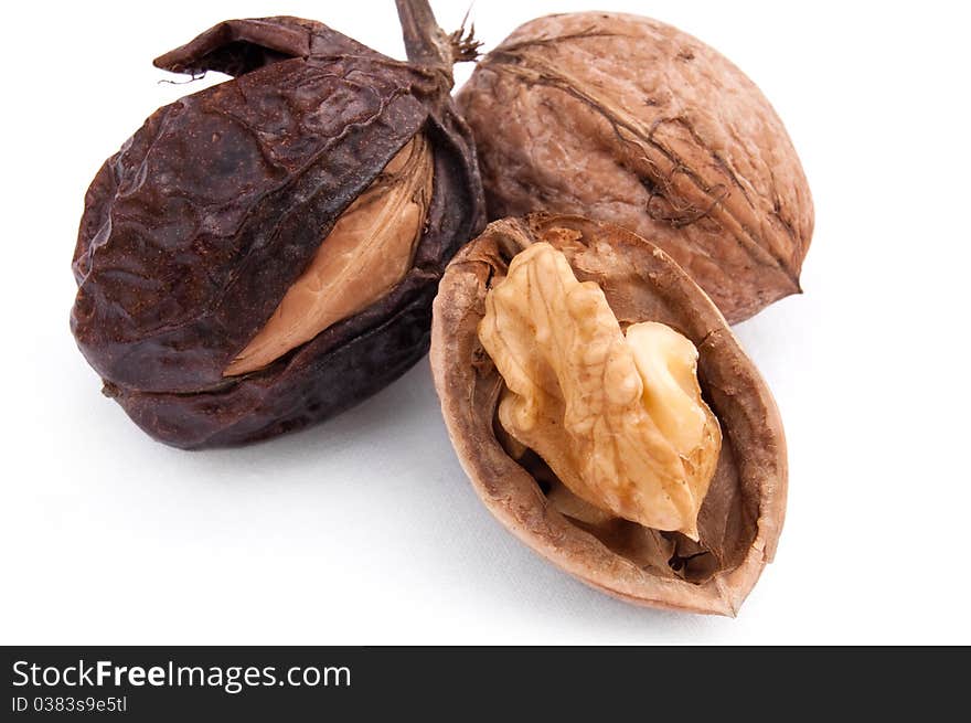 Walnut in the skin on a white background