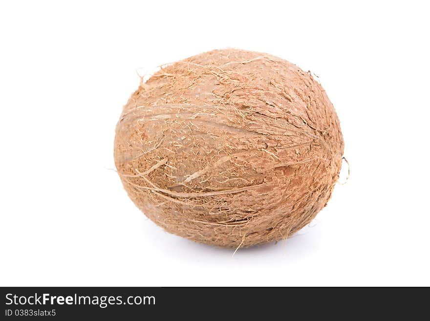 Vegetarian Food Coconut isolated on white background