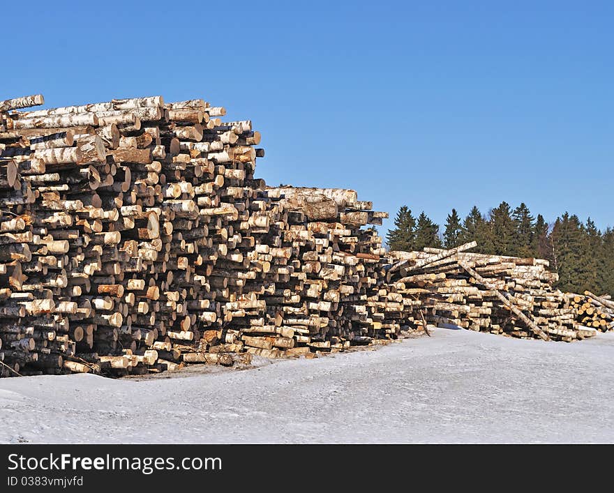 Birch log's pile at forest edge in winter time. Birch log's pile at forest edge in winter time