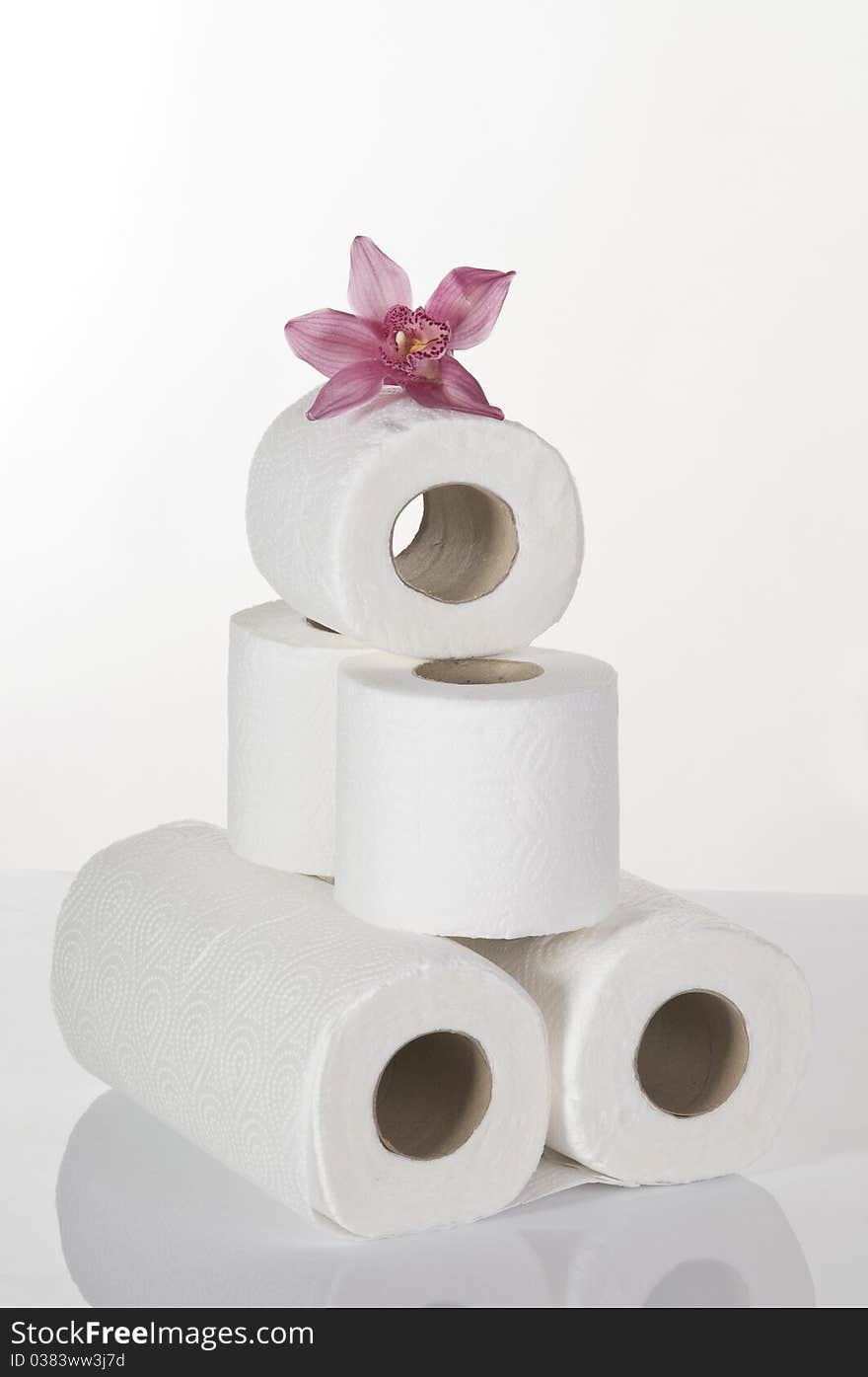 Concept Still Life With Toilet Paper Pink Orchid