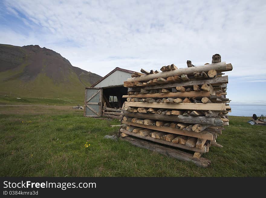 Driftwood in West Iceland