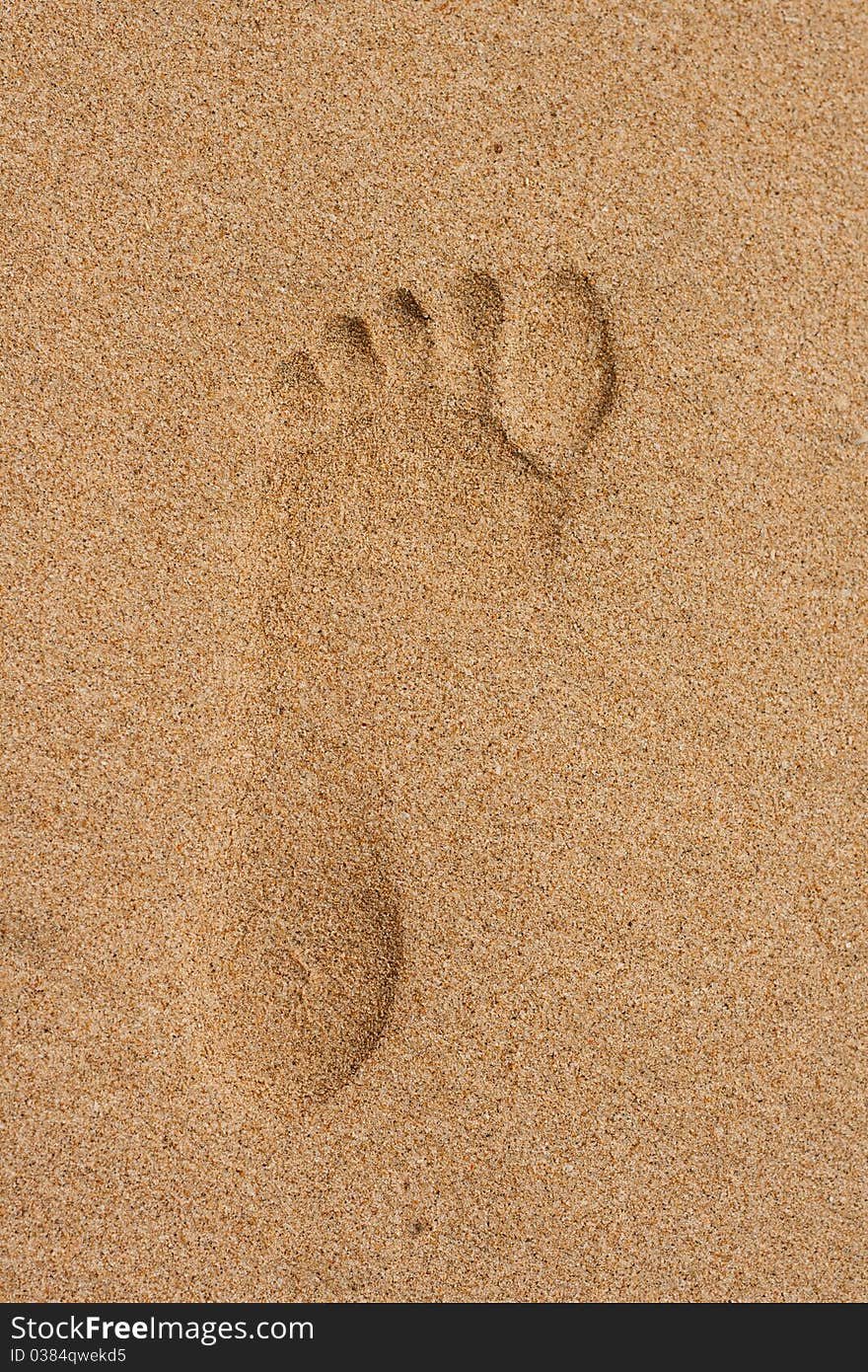 Image of women's legs on the beach and footprints in the sand