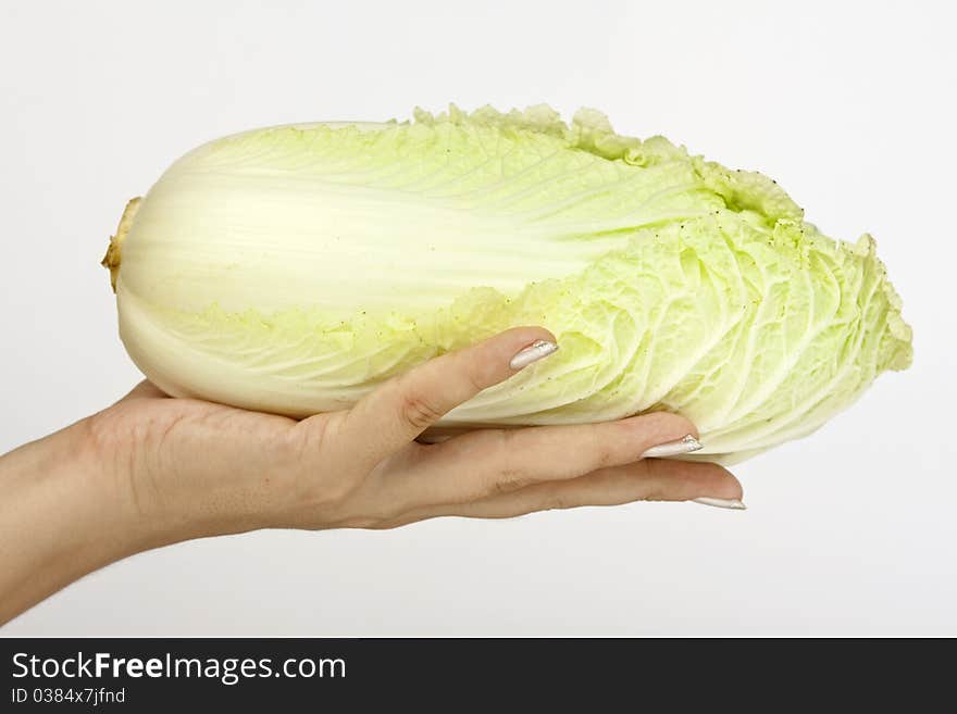 Image of the hand with cabbage isolate on a white background. Image of the hand with cabbage isolate on a white background