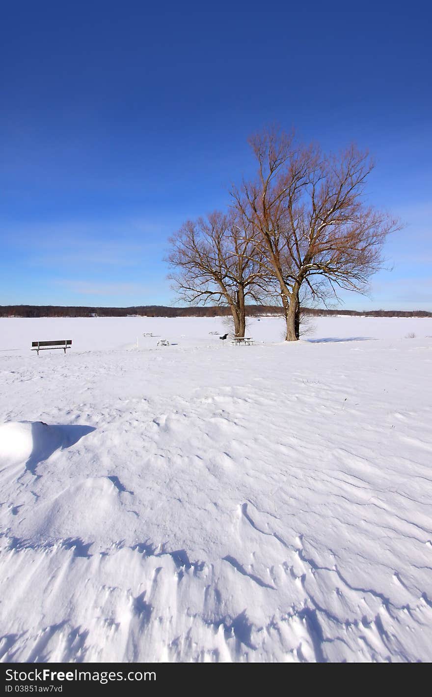 Winter scene