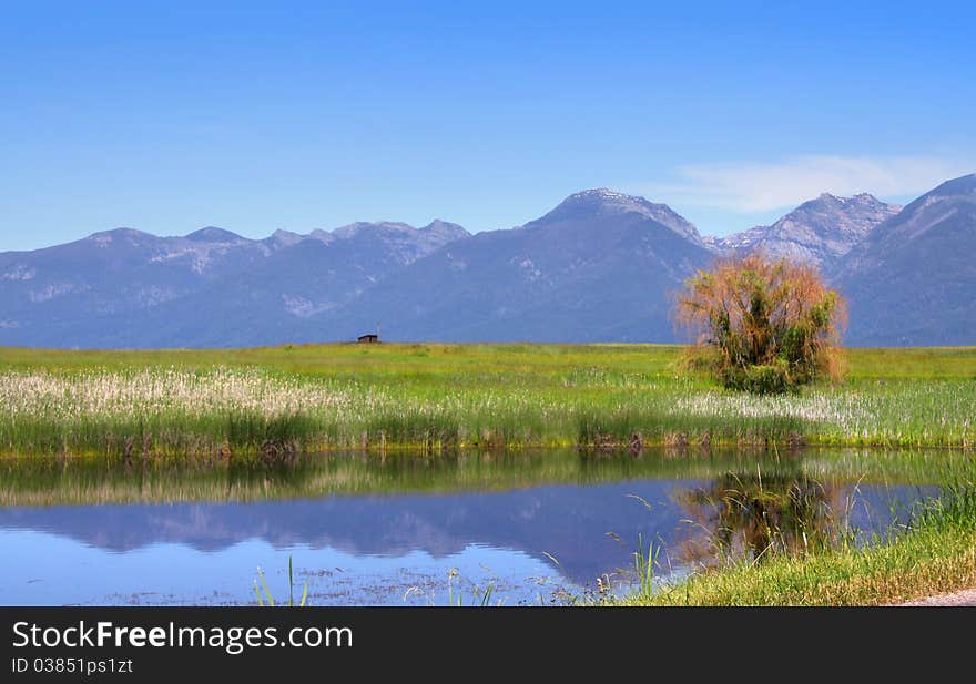 Scenic landscape of reflection of trees and mountains. Scenic landscape of reflection of trees and mountains