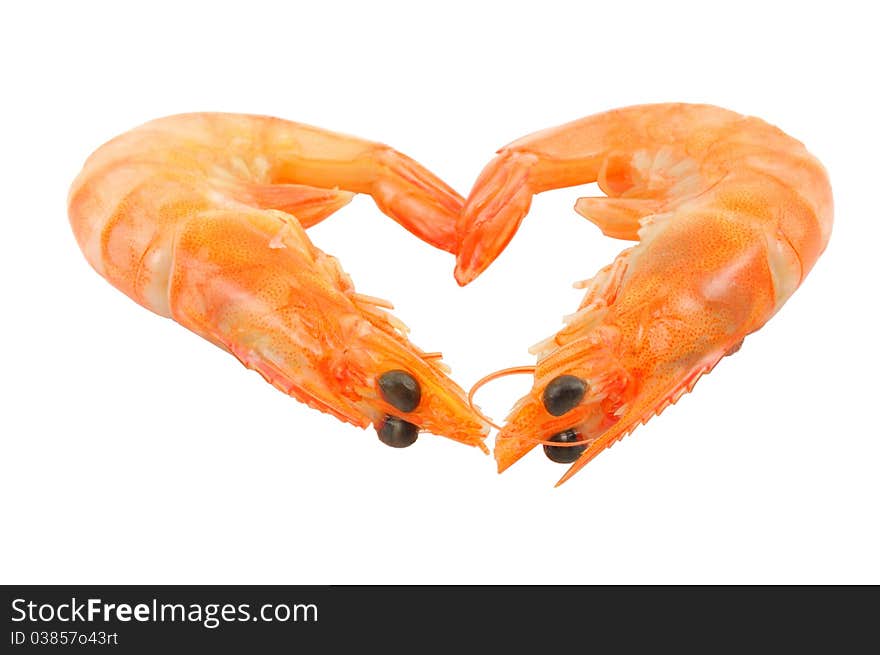 Two shrimp closeup on white background