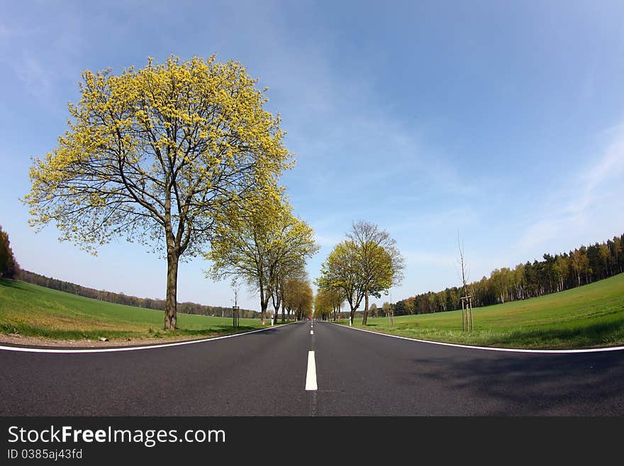 Country road at bavarya, germany