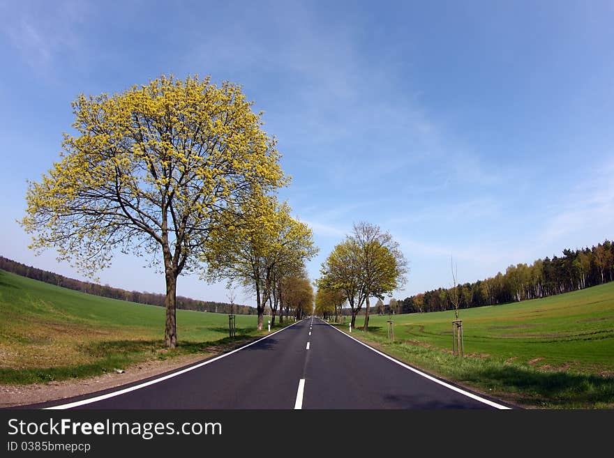 Country road at bavaria, germany