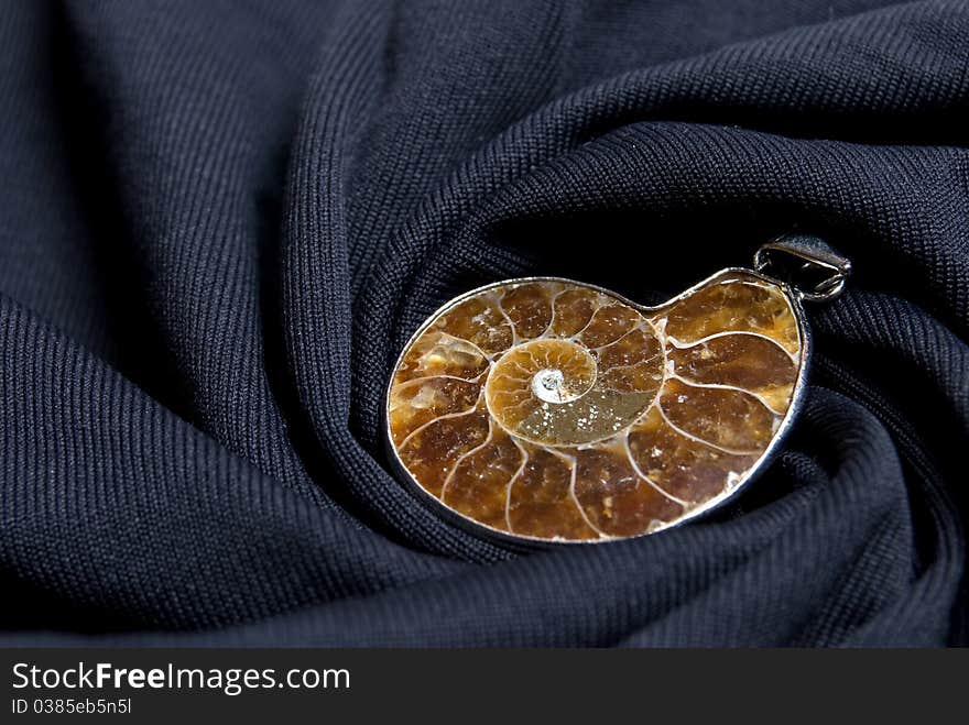 Ammonite conch on the black spiral background