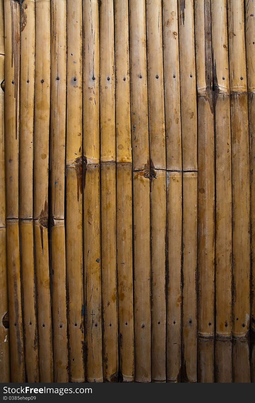 Bamboo texture in striped pattern. Bamboo texture in striped pattern