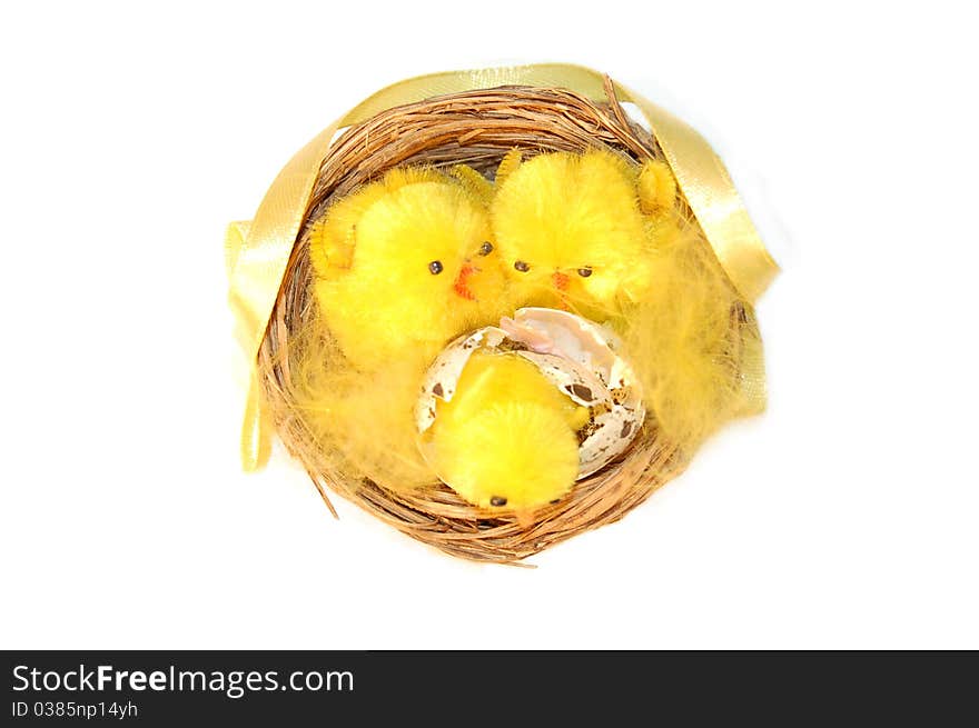 Three chickens in a nest on a white background. Three chickens in a nest on a white background.