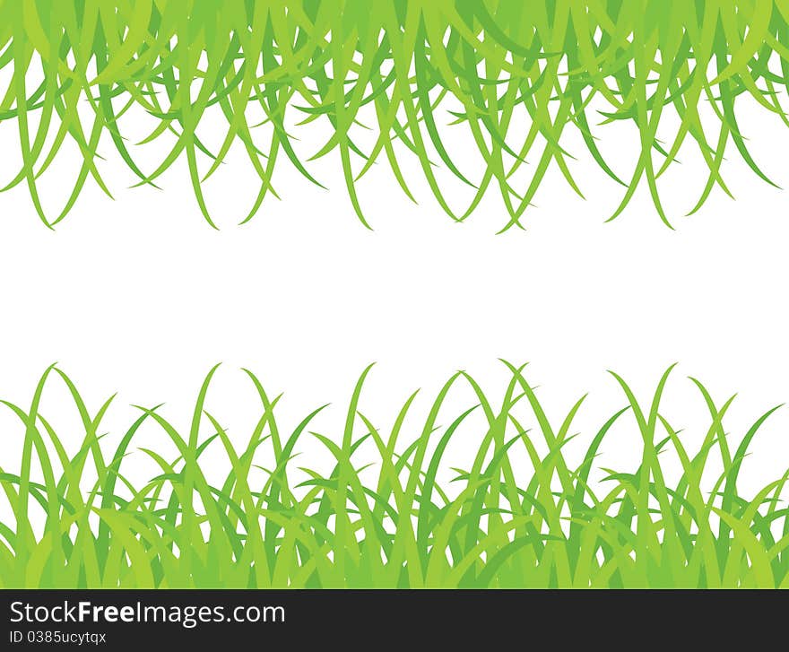 Grass On White Background, Vector Illustration