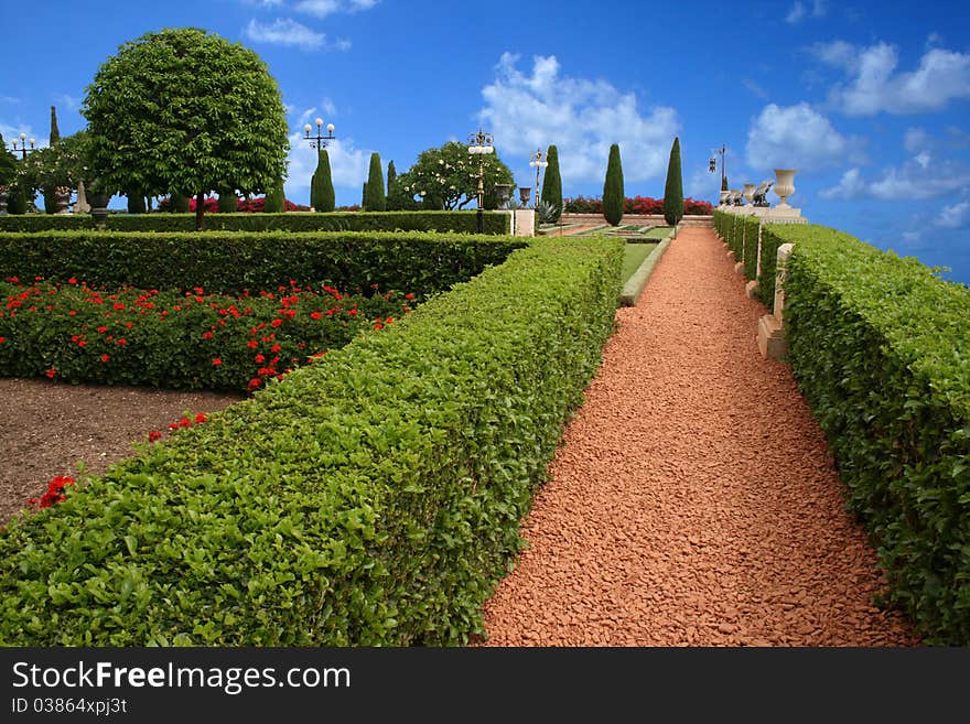 Nice green park against a background of blue sky