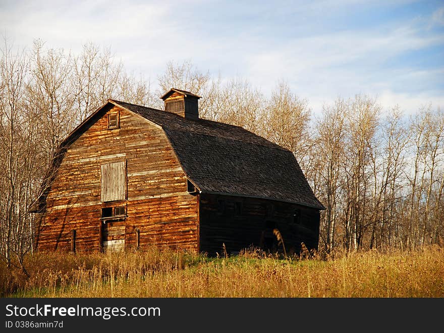 Old Brown Barn In Sunlight