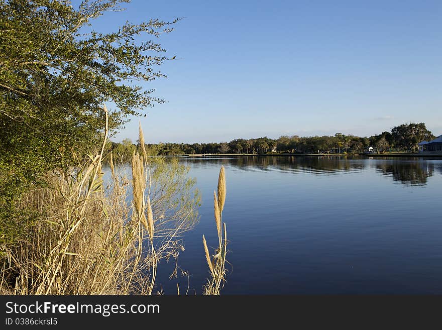 The afternoon sun enlightens the water of the coloosahatchee river in south-west-florida. The afternoon sun enlightens the water of the coloosahatchee river in south-west-florida.