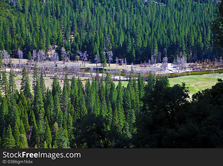 Yosemite national park in California