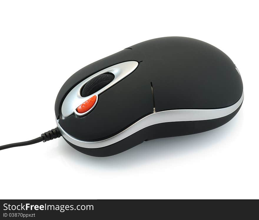 Computer mouse on a white background