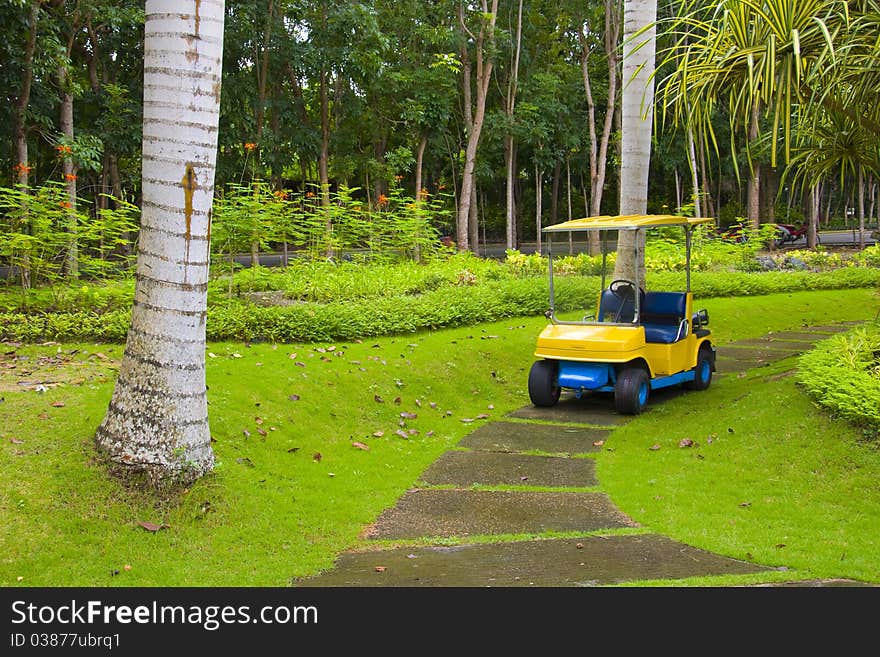 Golf Cart On Path, Pretty Green Grass