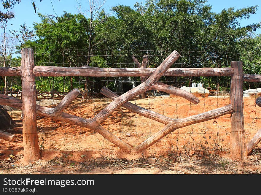 Close-up wooden palisades in the zoo