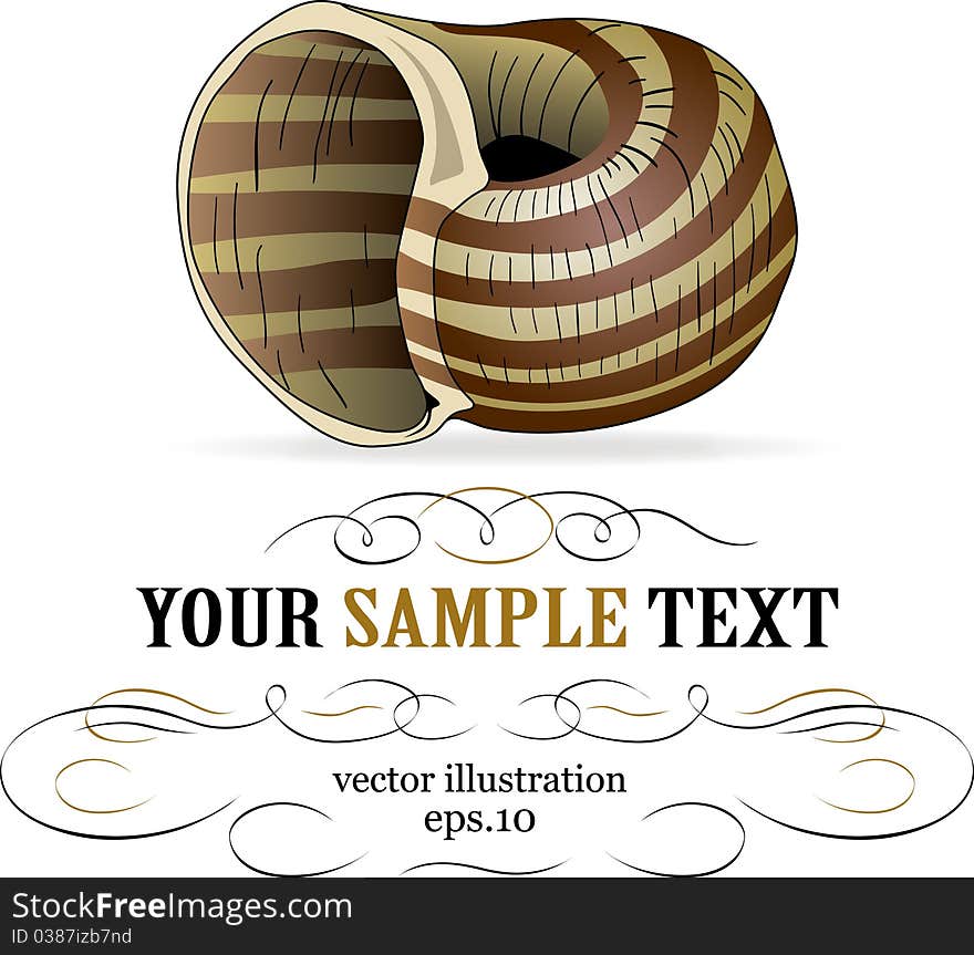 Striped snail label