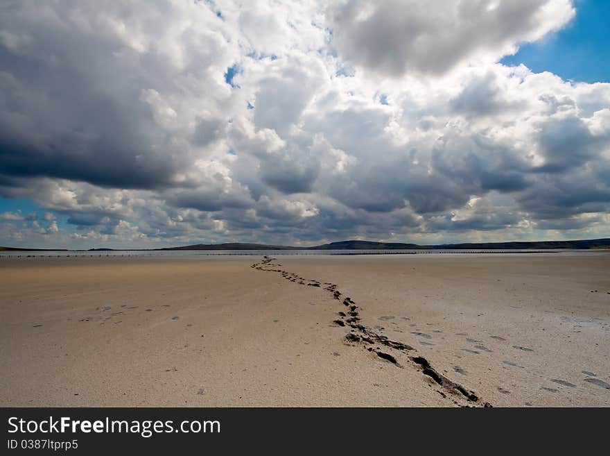 Saline soil, damaged due to wrong irrigation. Saline soil, damaged due to wrong irrigation