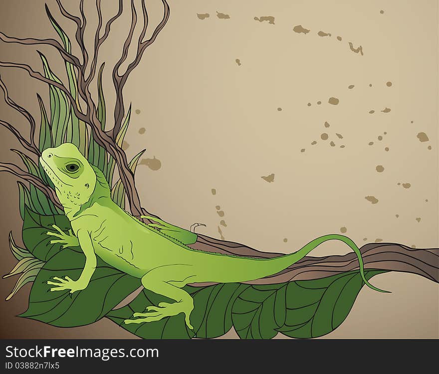 Background with green lizard