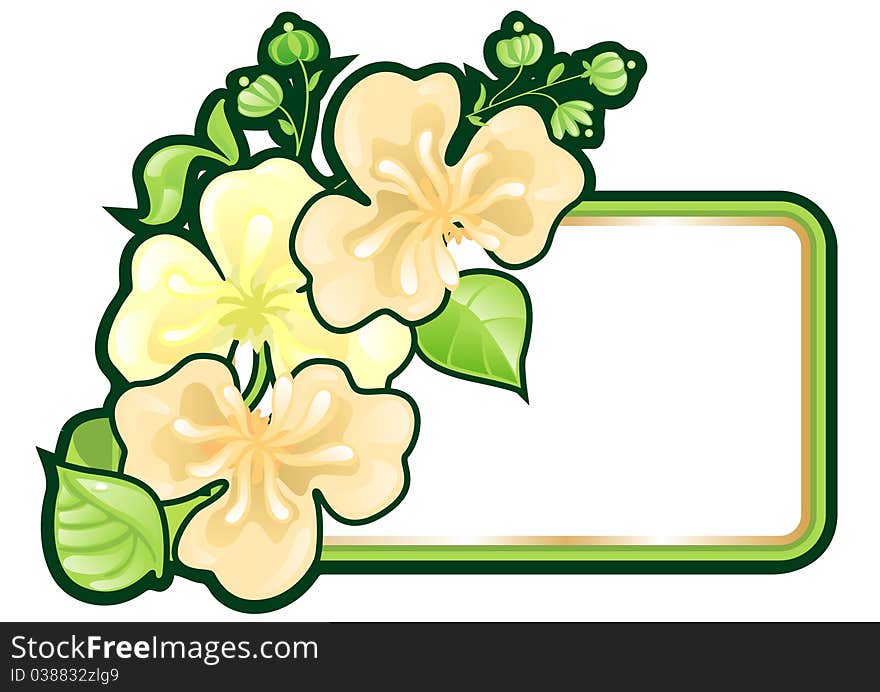 Greeting card with flowers green frame