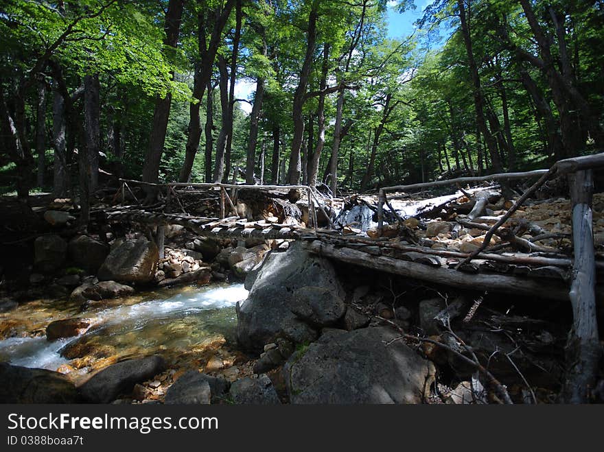 Wooden bridge above a small stream. Wooden bridge above a small stream