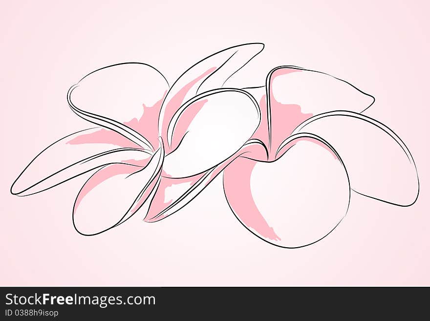 Beautiful flower on light pink background