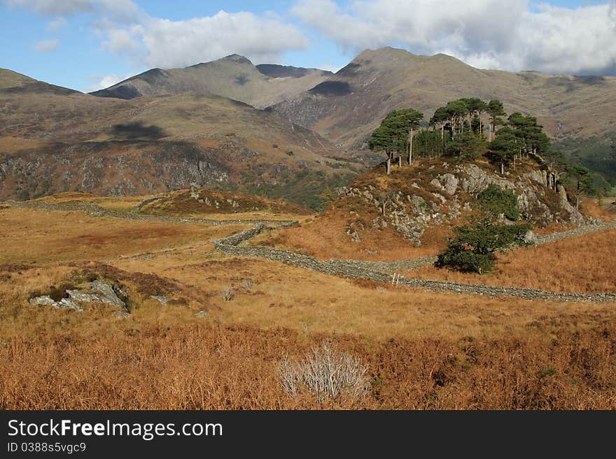 Mountainous landscape, a hill with Scots pine trees on moorland viewing out towards high mountains. Mountainous landscape, a hill with Scots pine trees on moorland viewing out towards high mountains.