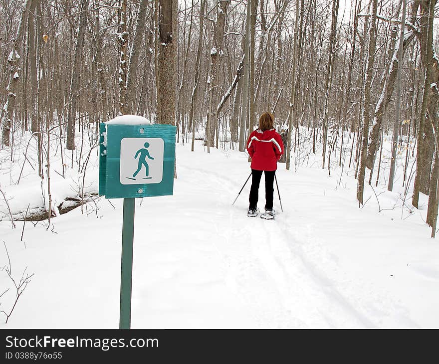 Woman snowshoes on marked path. Woman snowshoes on marked path