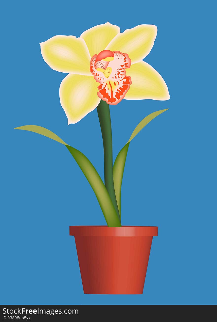 Colourful illustration of orchid in a pot. Colourful illustration of orchid in a pot