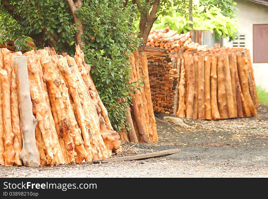 Preparation of woodpile, Samutsongkham, Thailand. Preparation of woodpile, Samutsongkham, Thailand
