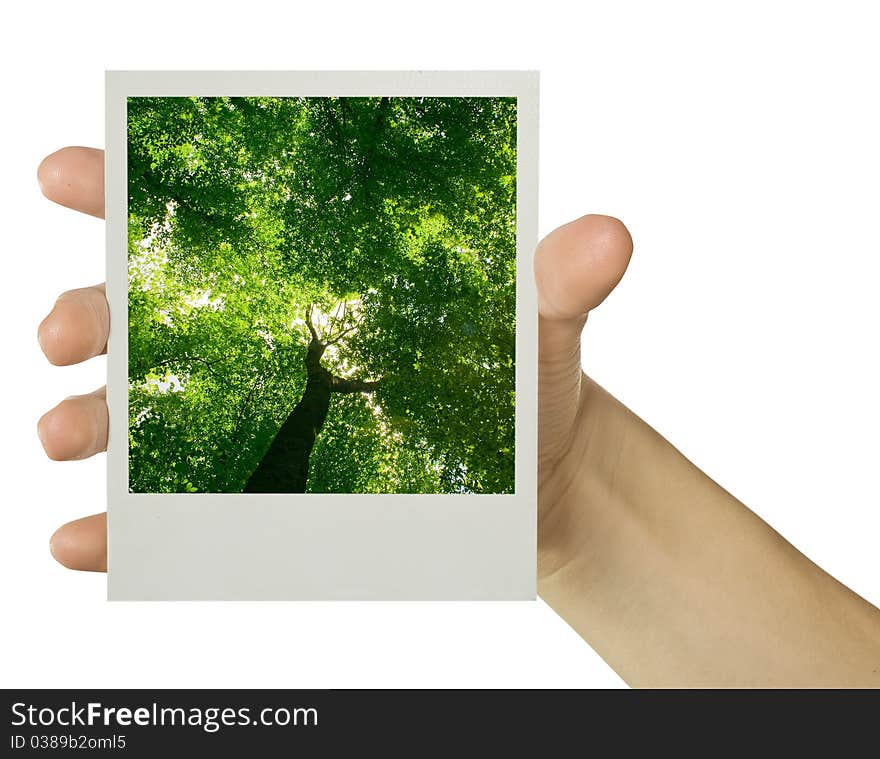 Business card isolated on the white backgrounds