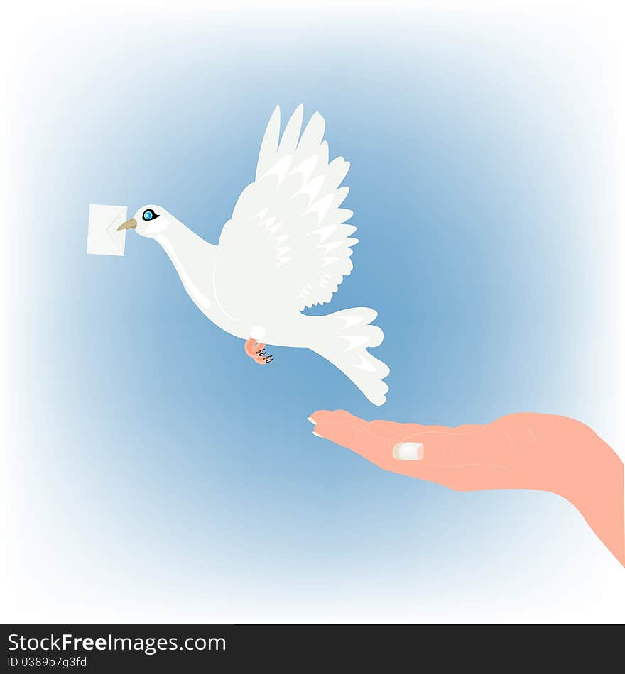 Dove with letter and feminine hand. Dove with letter and feminine hand