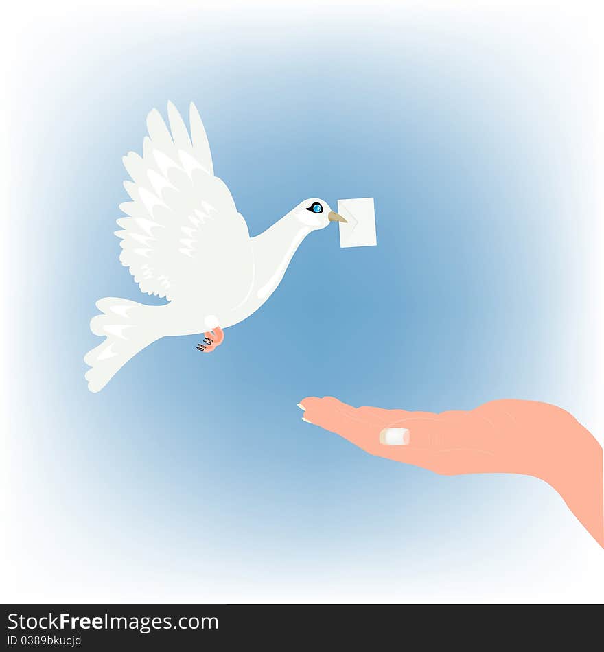 Dove carrying letter and stretching feminine palm