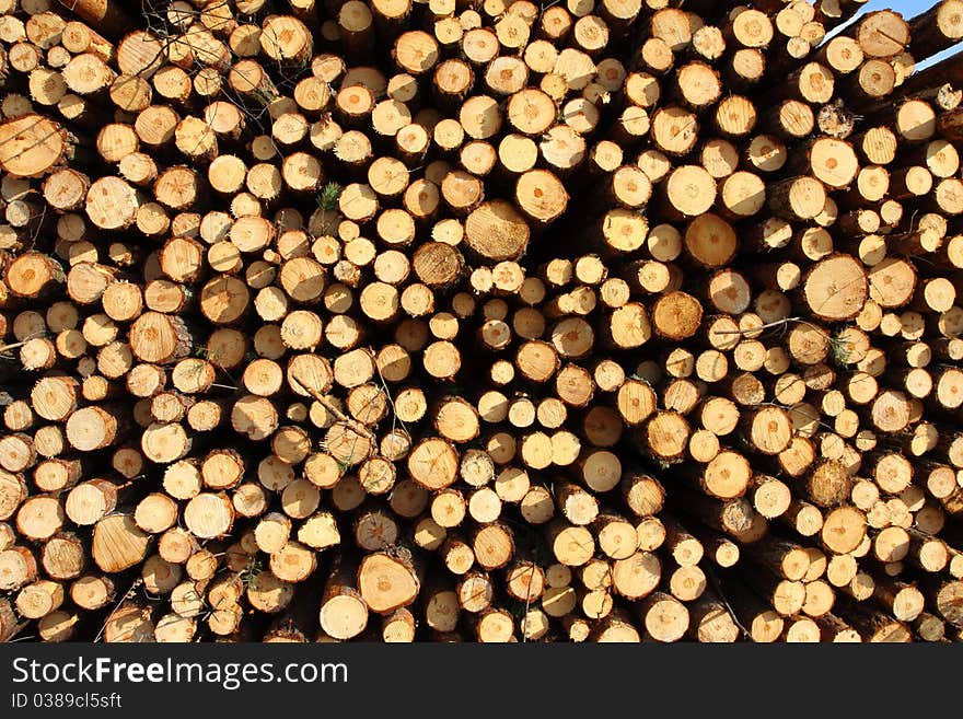 A close-up of a pile of trunks