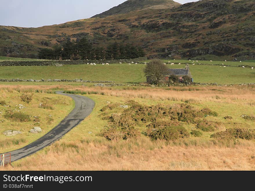 Road and derelict.