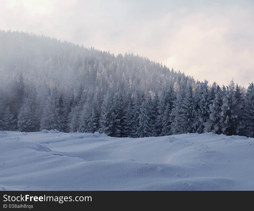 Winter Landscape