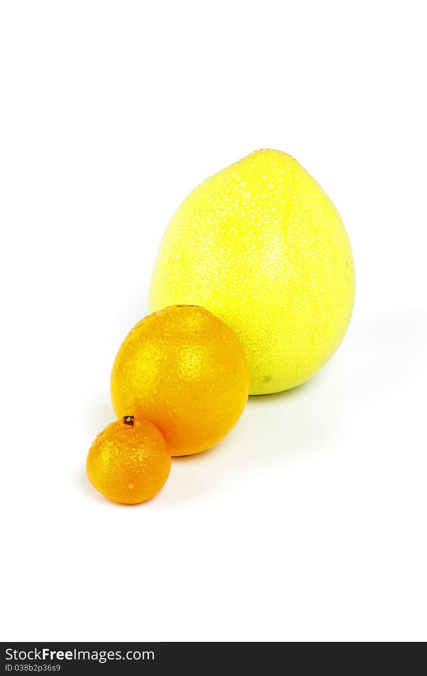 Set sweet wet of citron fruit on a white background. Set sweet wet of citron fruit on a white background