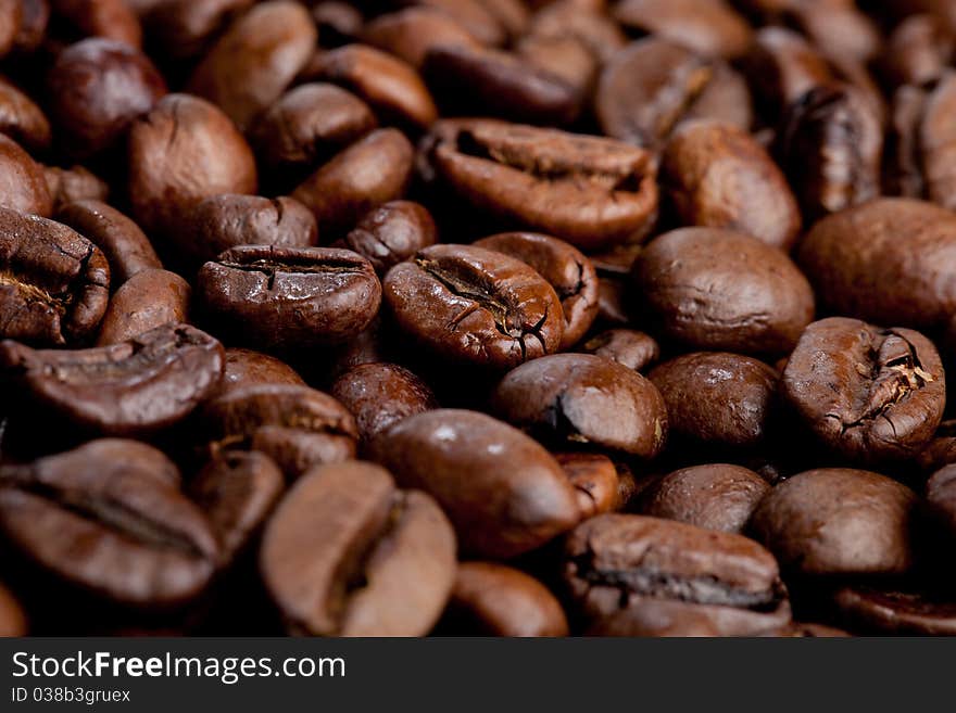 Coffee beans - close up view