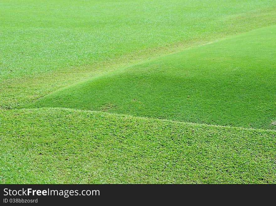 Green Grass Of A Golf Course With Terrain