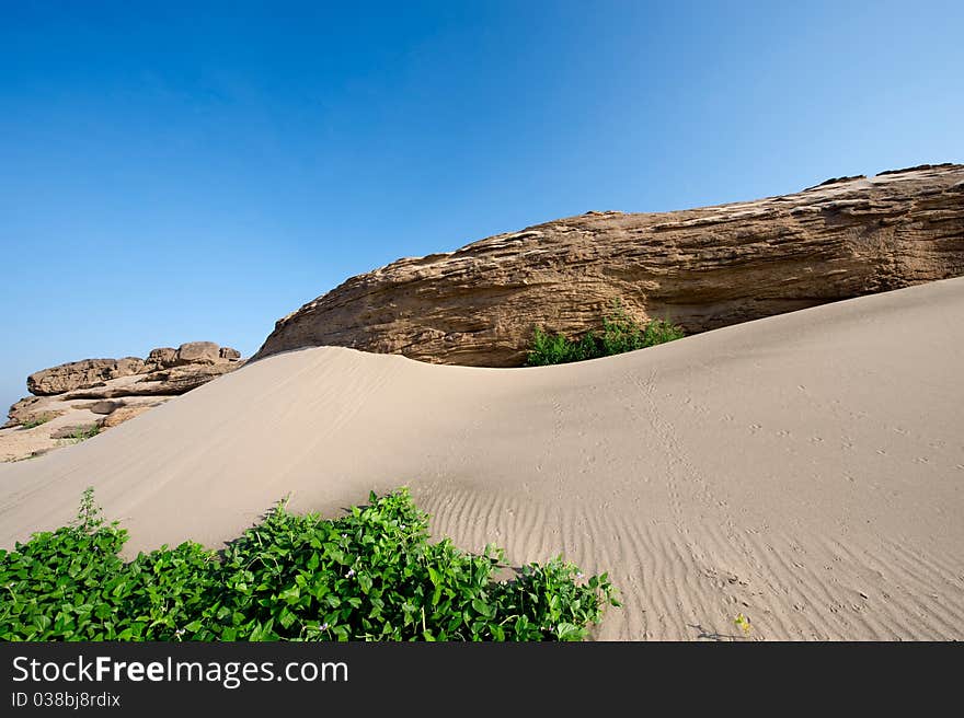 Sand dunes caused by the dry river.