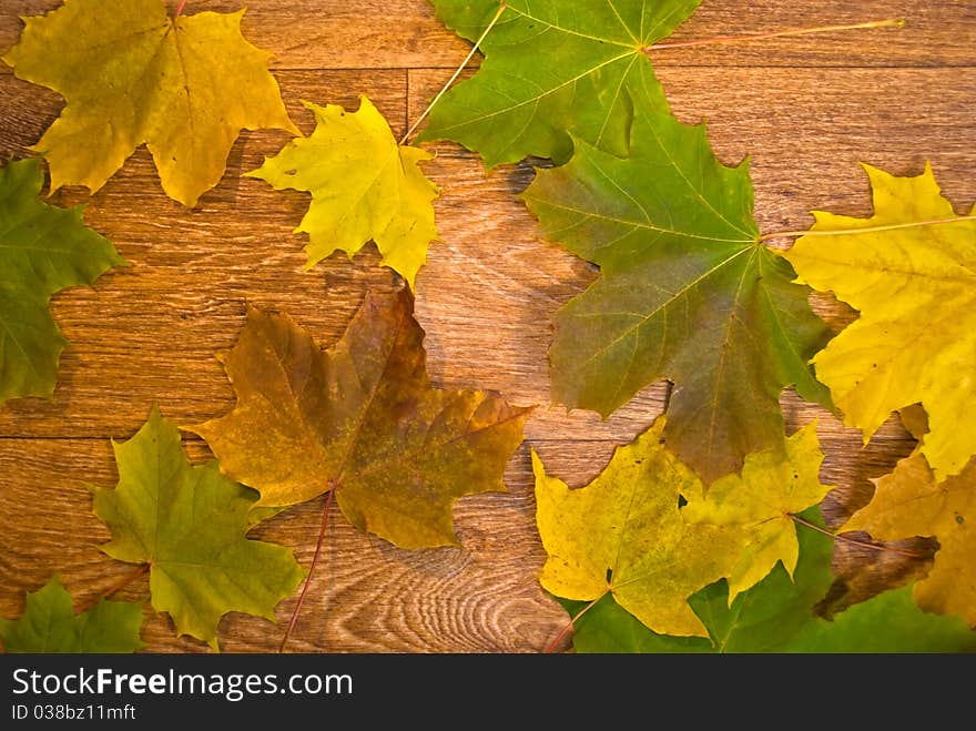 A background from marple leaves over wooden desk. A background from marple leaves over wooden desk