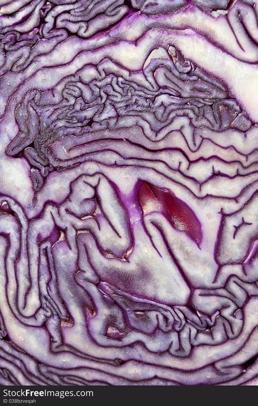 Cut Red Cabbage