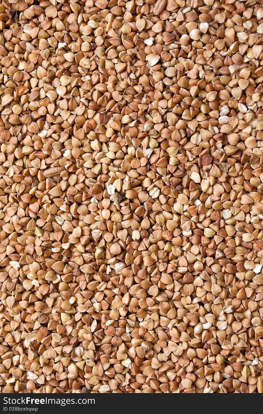 Buckwheat