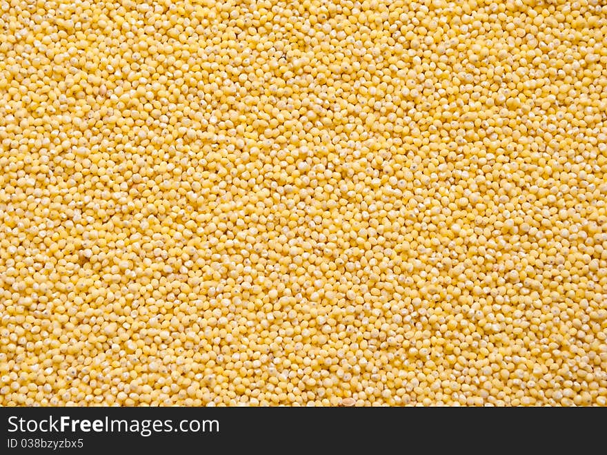 Yellow dry millet texture, may be used as background. Yellow dry millet texture, may be used as background