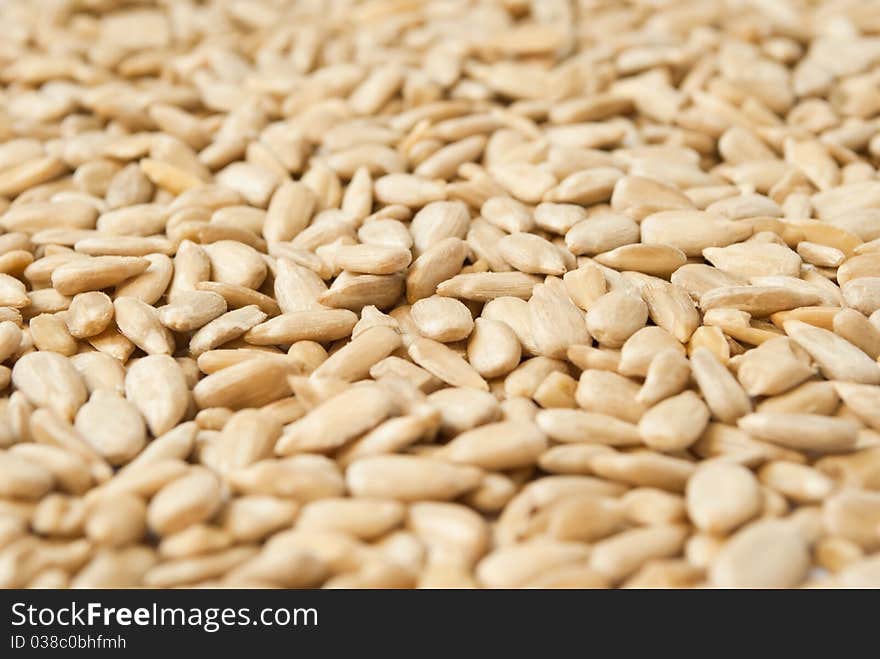 Sunflower seeds background