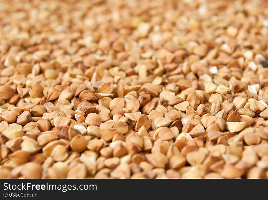 Dry buckwheat, closeup, shallow depth of field. Dry buckwheat, closeup, shallow depth of field